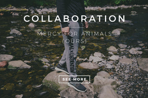 Collab: MFA (Ours)