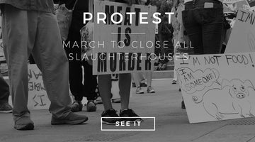 March to close all slaughterhouses - LA