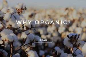 Why organic